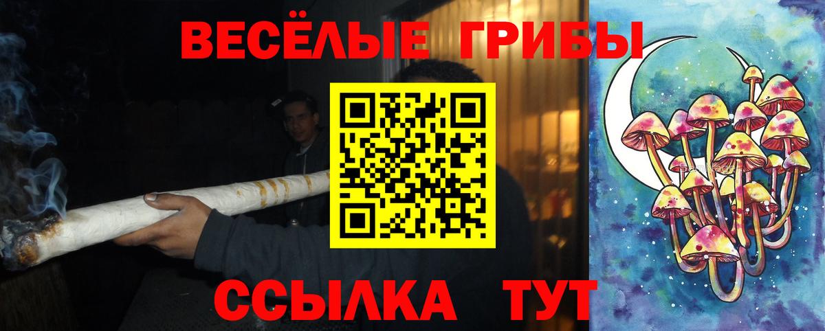 Псилоцибиновые грибы GOLDEN TEACHER Энгельс