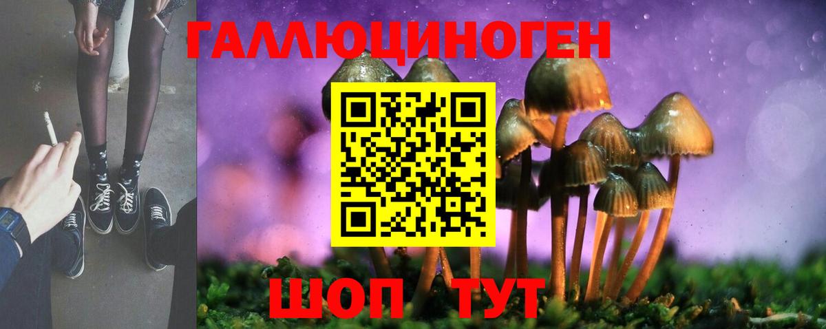 Энгельс  Галлюциногенные грибы GOLDEN TEACHER  Вход с VPN 